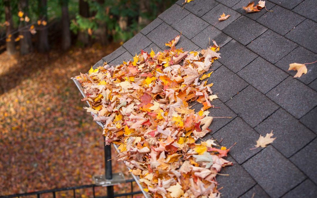 How Fall Weather in Raleigh Can Impact Your Roof and How to Prepare